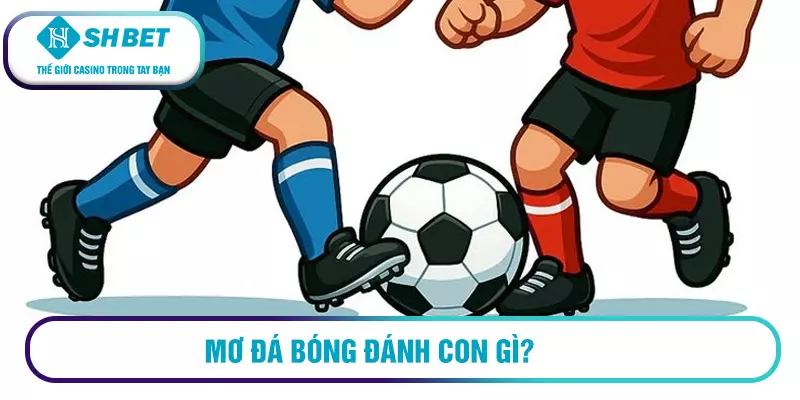 Mơ đá bóng đánh con gì? Sổ mơ chính xác nhất hiện nay 22 Mơ thấy mình chơi đá bóng