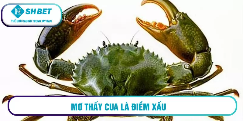 Mơ thấy bắt cua đánh số mấy? Mơ thấy cua là điềm gì? 2 Mơ thấy đi mua cua là điềm gì?