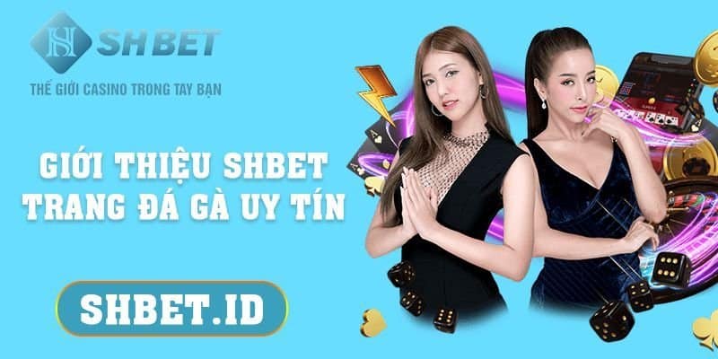 Giới thiệu SHBET - Trang đá gà uy tín từ a đến z 2023 17 Giới thiệu SHBET - Trang đá gà uy tín từ a đến z cho tân thủ