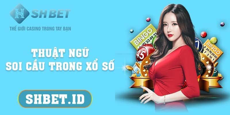Thuật ngữ soi cầu trong xổ số lô đề tân thủ nên biết 2023 7 SHBET_Thuật ngữ soi cầu trong xổ số lô đề tân thủ nên biết 2023